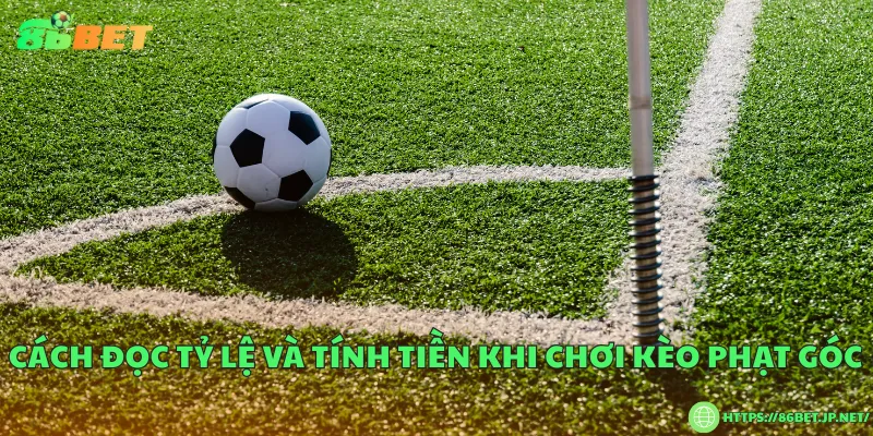 Cách đọc tỷ lệ và tính tiền khi chơi kèo phạt góc