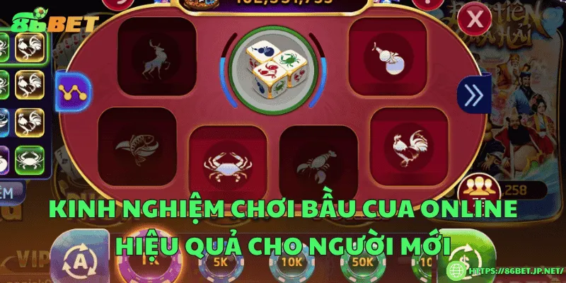 Kinh nghiệm chơi bầu cua online hiệu quả cho người mới