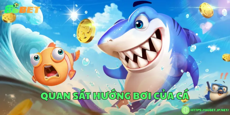 Quan sát hướng bơi của cá