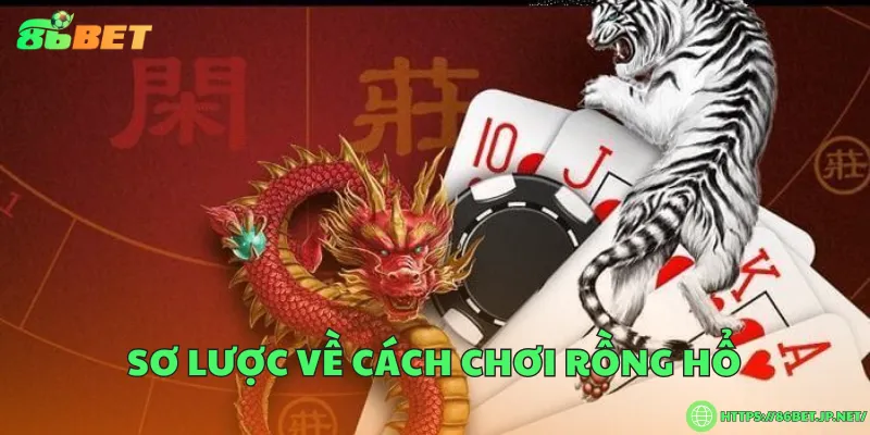 Sơ lược về cách chơi rồng hổ